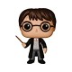 Funko POP Movies: Harry Potter Action Figure, Standard