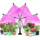 LED Grow Light for Indoor Plants