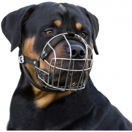 Rottweiler Adjustable Leather Straps