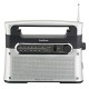 Portable Analog Tuning AM/FM