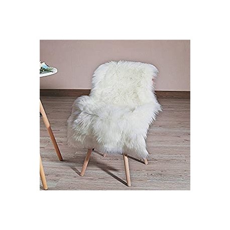 Area Rugs for Bedroom Sofa Living Room Floor(2 x 3 Feet （60 x 90 cm） White)