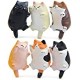 6 Pack Fun Cat Refrigerator Magnets Office Magnet
