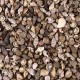 Tiny Miniature Fairy Garden Beach Critter Seashells Marine Life Collection for Art & Craft Project
