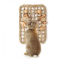 Protector Mat with Toys for Rabbit