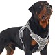 Tactical Dog Training Harness No Pulling Front Clip