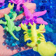 Water Growing Sea Creatures Animals & Water Beads Set | 30Pack + 10000Pcs