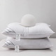 Set of 2 Bedding Soft Pillows 100% Organic Cotton Standard 20x26in