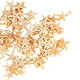 Small Starfish Star Sea Shell Beach Craft 0.4"-1.2" 90 Pcs