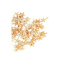 Small Starfish Star Sea Shell Beach Craft 0.4"-1.2" 90 Pcs