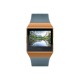 Watch, Slate Blue/Burnt Orange, One Size Fitbit