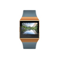 Watch, Slate Blue/Burnt Orange, One Size Fitbit
