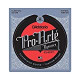 D'Addario EJ45TT ProArte