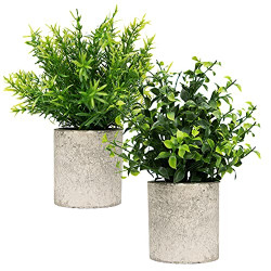 Decor Small Fake Plants 2 Piece Plant Decor, 9" Tall Artificial