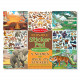 Sticker Pad: Jungle and Savanna - 175+ Stickers, 5 Scenes