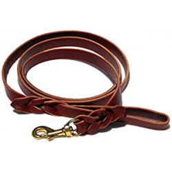 Braided Leather Leash