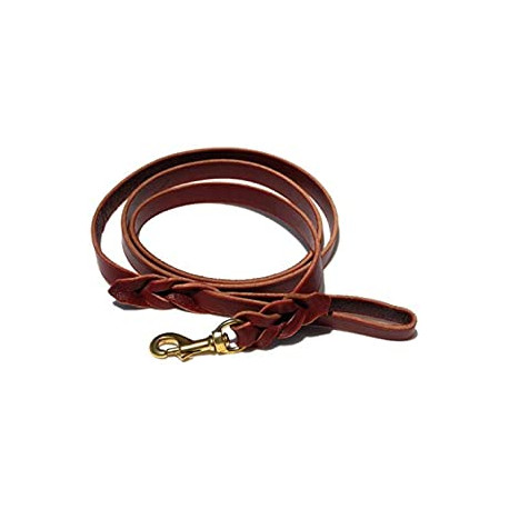 Braided Leather Leash