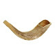 KOSHER ODORLESS POLISHED SHOFAR