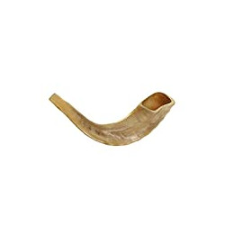 KOSHER ODORLESS POLISHED SHOFAR