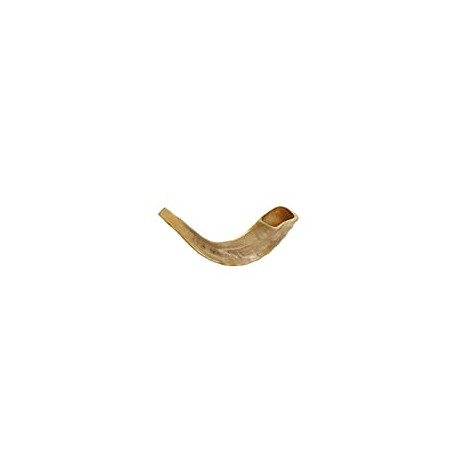 KOSHER ODORLESS POLISHED SHOFAR