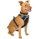 Dog Harness No Pull, Pet Harnesses