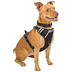 Dog Harness No Pull, Pet Harnesses