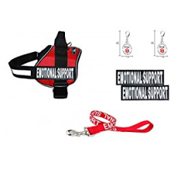 Set of Emotional Support Removable Reflective Patches, 30 inch Lead and 2 ID Dog Tags