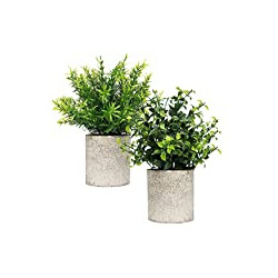 2 Piece Plant Decor 9" Tall Artificial Plants