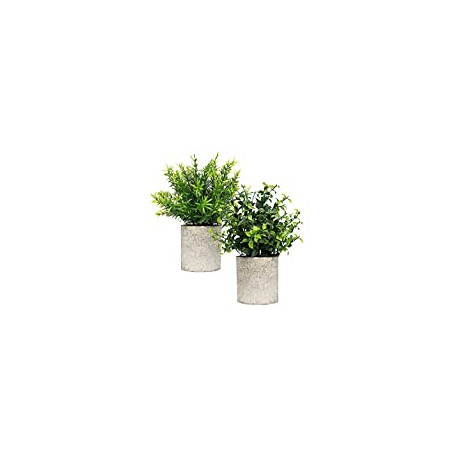 2 Piece Plant Decor 9" Tall Artificial Plants