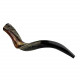 KOSHER ODORLESS POLISHED YEMENITE SHOFAR