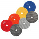 Granite Diamond Polishing 4 Inch Dry Pads 7 Pcs
