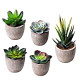 Succulent Potted Fake Cactus Cacti Plants with Gray Pots, Set of 5