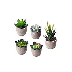 Succulent Potted Fake Cactus Cacti Plants with Gray Pots, Set of 5