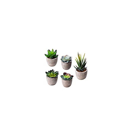 Succulent Potted Fake Cactus Cacti Plants with Gray Pots, Set of 5