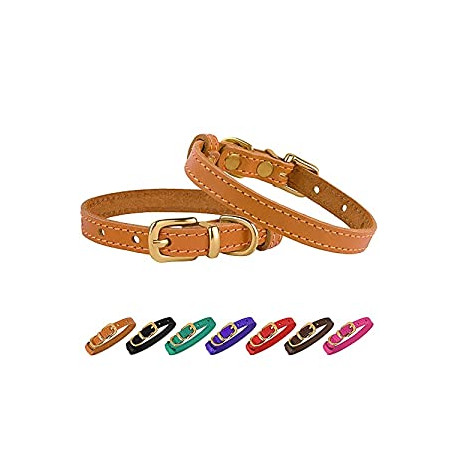 Leather Cat Collar with Buckle Adjustable Small Pet Collars