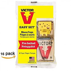 mouse trap (Pack of 16)