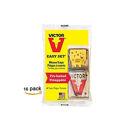 mouse trap (Pack of 16)