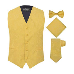 Men's 4 Piece Paisley Vest Set