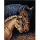 Horse Family Paint by Numbers for Adults, 11'' W x 14'' L