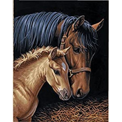 Horse Family Paint by Numbers for Adults, 11'' W x 14'' L