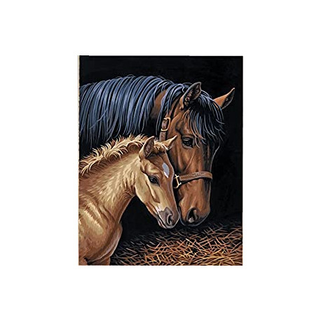 Horse Family Paint by Numbers for Adults, 11'' W x 14'' L