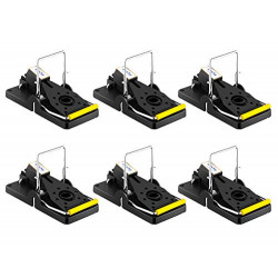 Pack 6 of Best Mouse Trap