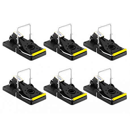 Pack 6 of Best Mouse Trap