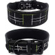 Padded Dog Collar, Heavy Duty Dog Collar 2"