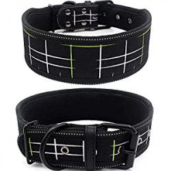 Padded Dog Collar, Heavy Duty Dog Collar 2"