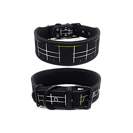 Padded Dog Collar, Heavy Duty Dog Collar 2"