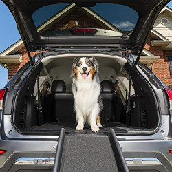 62 Inch, Portable Lightweight Dog and Cat Ramp, Great for Cars