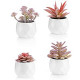Fake Plants Included (Set of 4 Artificial Succulents)