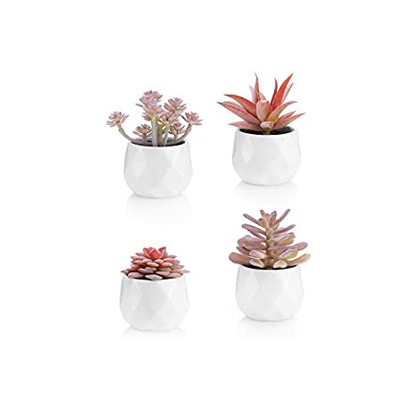 Fake Plants Included (Set of 4 Artificial Succulents)