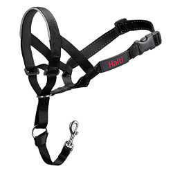 Head Halter Collar for Dogs,