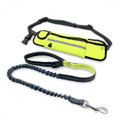 Hands Free Dog Leash for Running Walking Outdoor